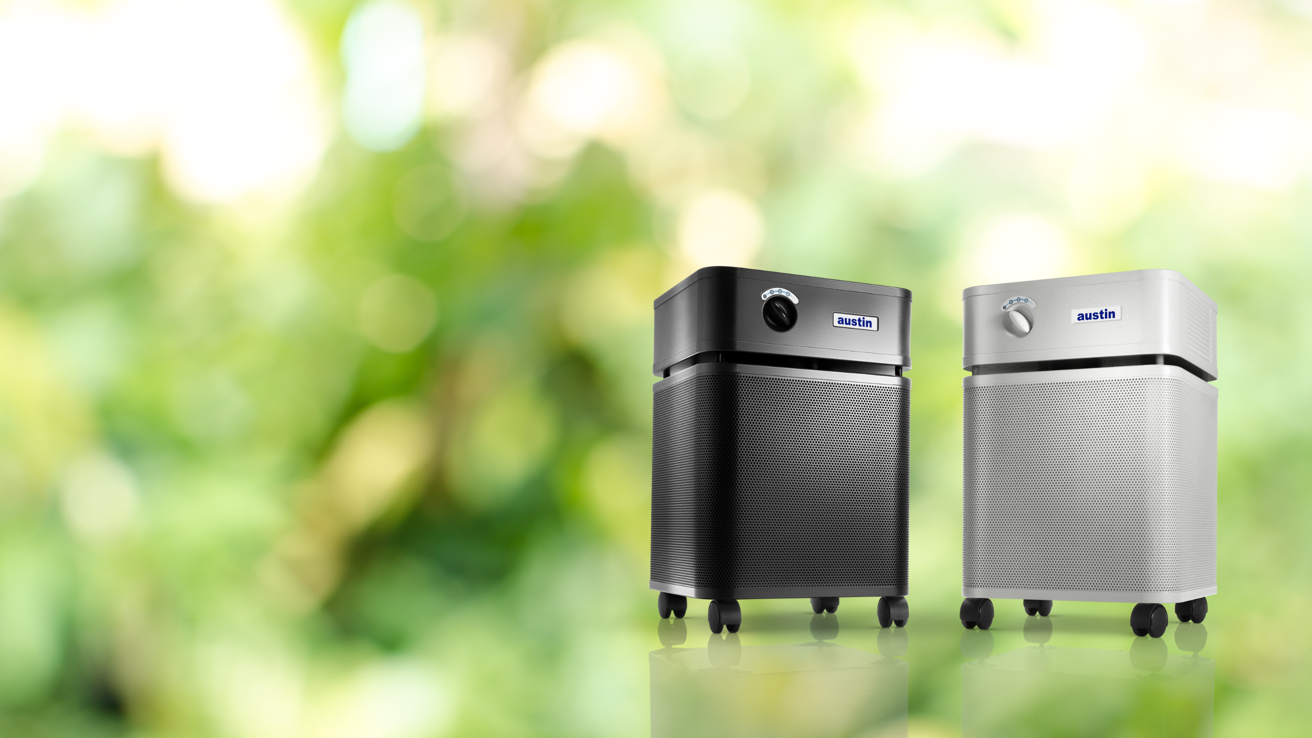 Picture of Eco-Friendly Air Purifiers